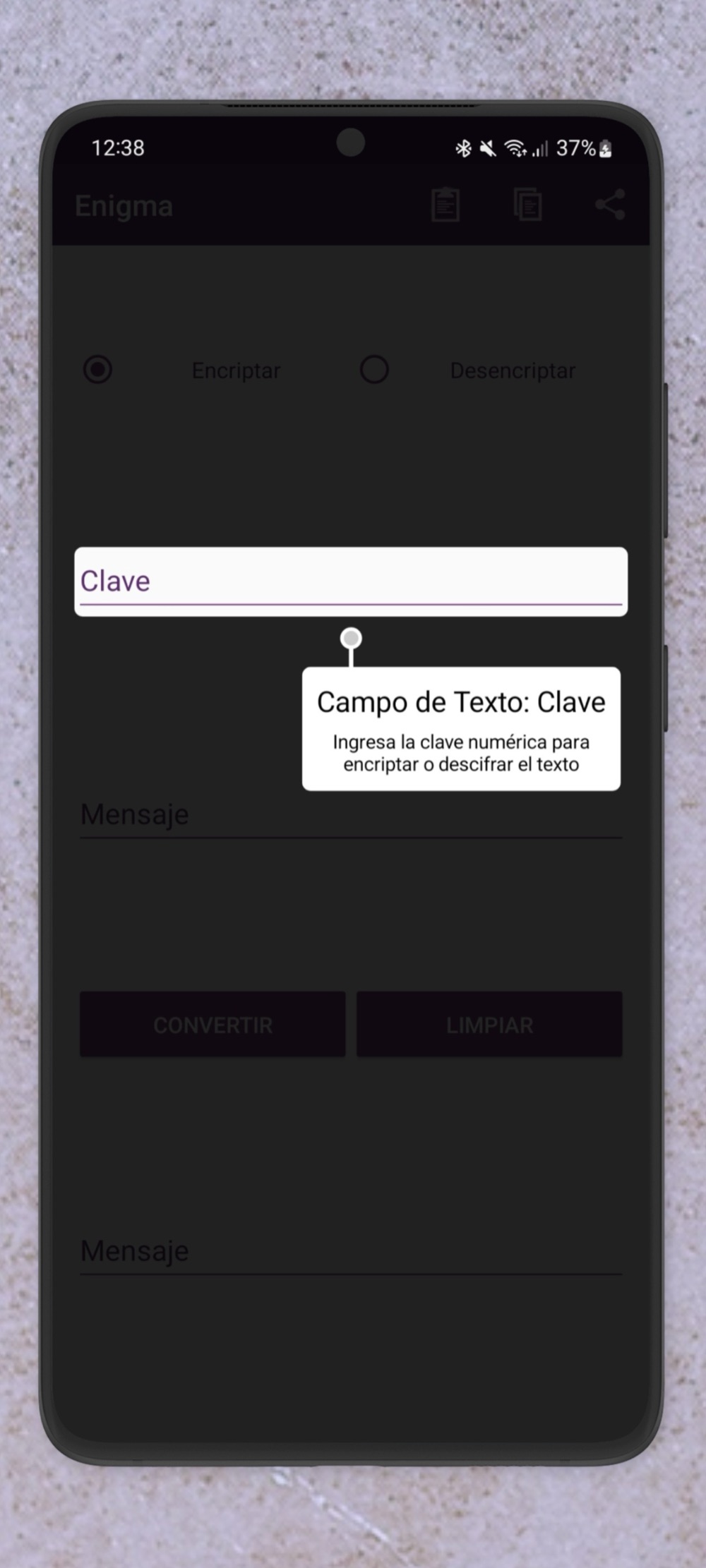 Enigma — Capturas 4